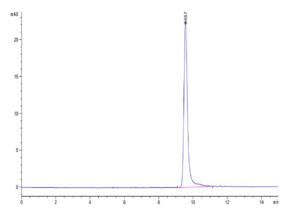 HPLC of Human IFN gamma/IFNG Protein 2470