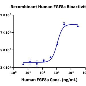 Cell based assay with Human FGF8a?Protein 2478