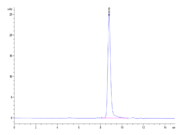 HPLC of Rat Alkaline Phosphatase (Germ type) /ALPG Protein 2484