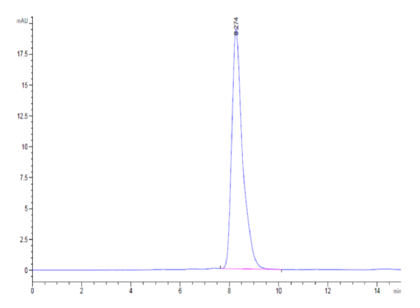 HPLC of Human Alkaline Phosphatase (Germ type) /ALPG Protein 2490