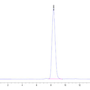 HPLC of Human gp130/CD130/IL-6 R beta?Protein 2495