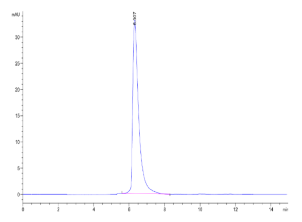 HPLC of Cynomolgus CEACAM-5/CD66e Protein 2497