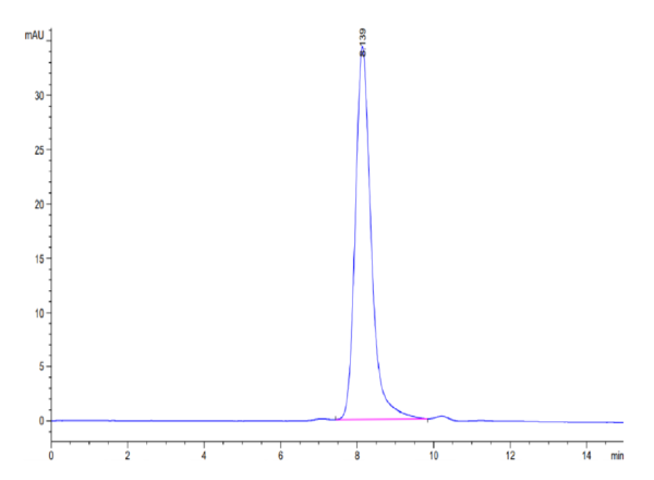 HPLC of Biotinylated Human CEACAM-8/CD66b Protein 2499