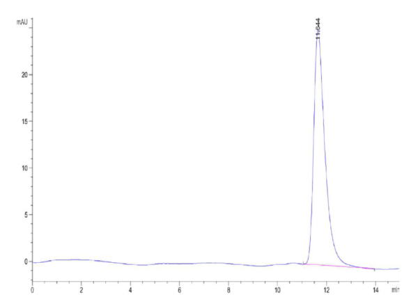 HPLC of Human Betacellulin?Protein 2502