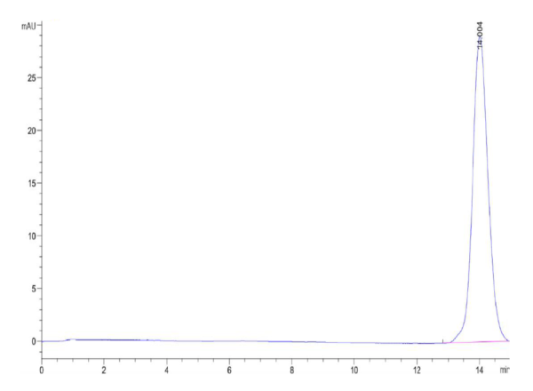 HPLC of Mouse PD-L2/B7-DC Protein 2503