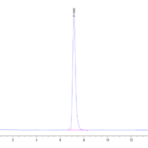 HPLC of Human HLA-A*02:01&B2M&MAGE-A1 (KVLEYVIKV) Tetramer Protein 2509