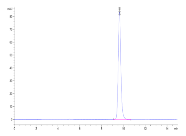 HPLC of Biotinylated Human HLA-A*02:01&B2M&MAGE-A1 (KVLEYVIKV) Monomer  2510