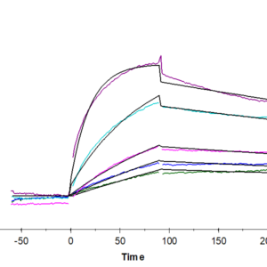 SPR with Human HLA-A*02:01&B2M&MAGE-A1 (KVLEYVIKV) Monomer Protein 2511