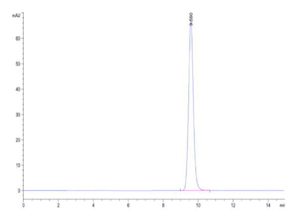 HPLC of Biotinylated Human HLA-A*02:01&B2M&PRAME (SLLQHLIGL) Monomer Pr 2512