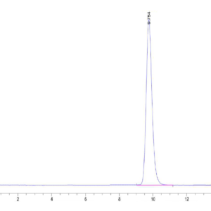 HPLC of Human FOLR3?Protein 2513