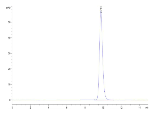 HPLC of Human FOLR3?Protein 2513