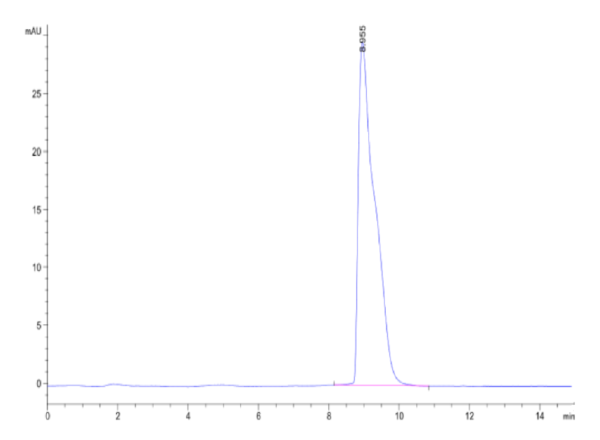 HPLC of Mouse SLAMF6/NTB-A Protein 2516