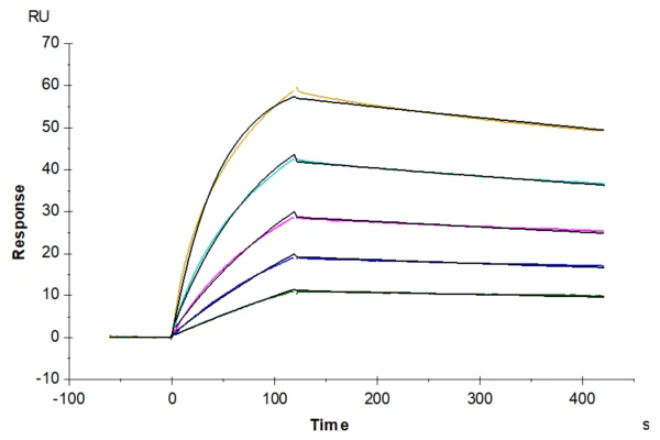 SPR with Human ANGPTL3/Angiopoietin-like 3 Protein 2517