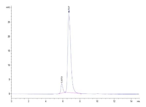 HPLC of Human ANGPTL3/Angiopoietin-like 3 Protein 2517