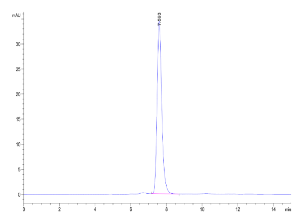 HPLC of Mouse PTK7/CCK4 Protein 2519