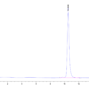 HPLC of Human Kallikrein 3/PSA?Protein 2520