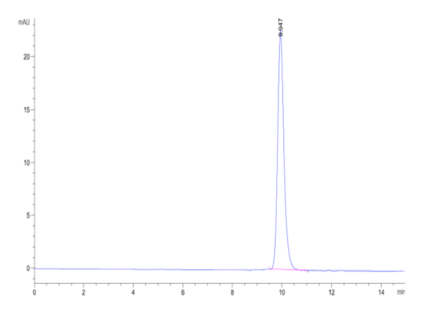 HPLC of Cynomolgus ALK-1/ACVRL1 Protein 2525