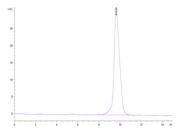 HPLC of Mouse Activin RIIB/ACVR2B Protein 2529