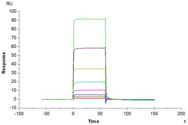 SPR with Human TIE2 Protein 2530