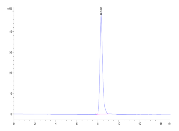 HPLC of Human TIE2 Protein 2530