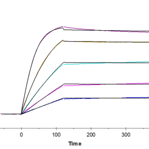 SPR with Human Activin RIIB/ACVR2B Protein 2536