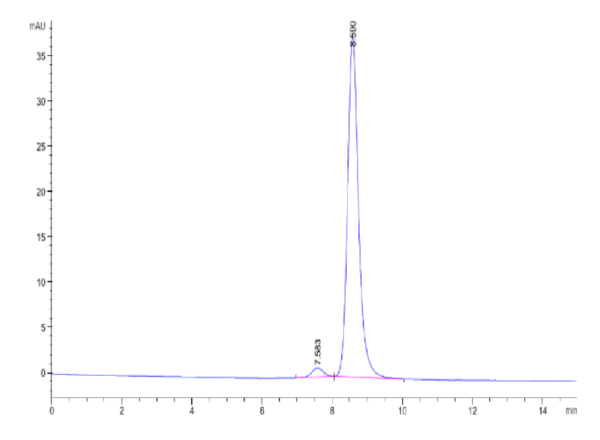 HPLC of Human TIE1 Protein 2544