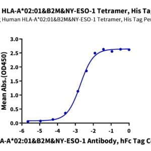 ELISA with Human HLA-A*02:01&B2M&NY-ESO-1 (SLLMWITQC) Tetramer Protein 2550