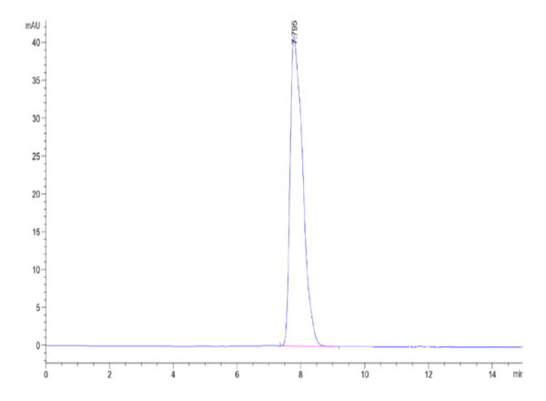 HPLC of Human HLA-A*02:01&B2M&NY-ESO-1 (SLLMWITQC) Tetramer Protein 2550