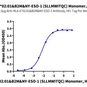 ELISA with Human HLA-A*02:01&B2M&NY-ESO-1 (SLLMWITQC) Monomer Protein 2551