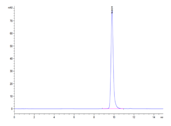 HPLC of Human HLA-A*02:01&B2M&NY-ESO-1 (SLLMWITQC) Monomer Protein 2551