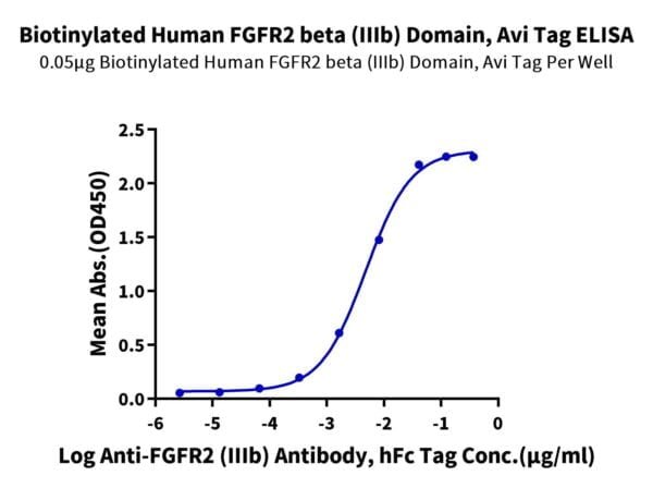 ELISA with Biotinylated Human FGFR2 beta (IIIb) Domain Protein 2552