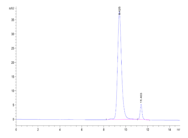 HPLC of Biotinylated Human FGFR2 beta (IIIb) Domain Protein 2552