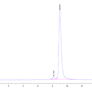 HPLC of Human LY6G6F Protein 2563