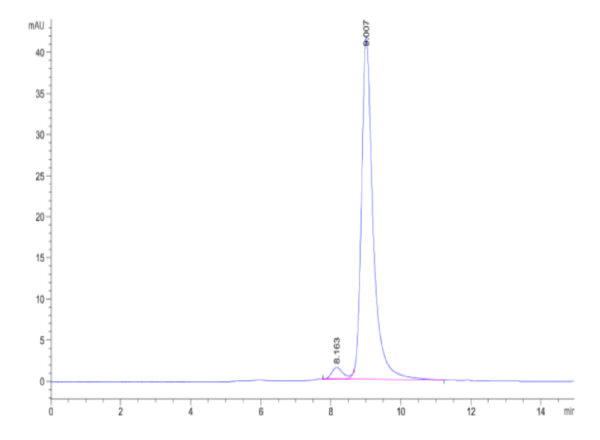 HPLC of Human LY6G6F Protein 2563