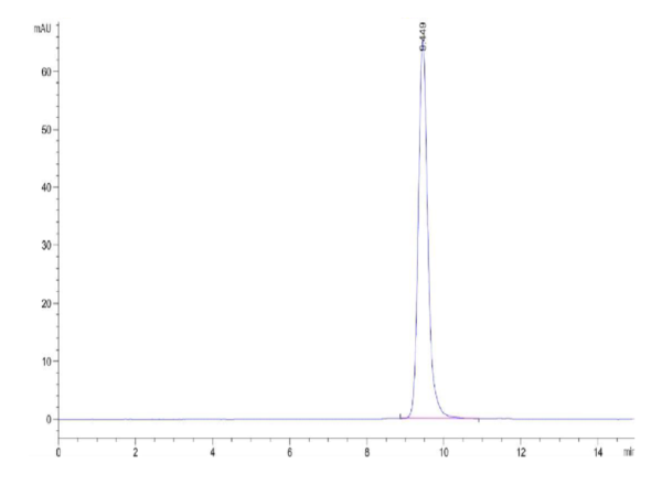 HPLC of Biotinylated Cynomolgus HLA-G&B2M&Peptide (RIIPRHLQL) Monomer P 2567