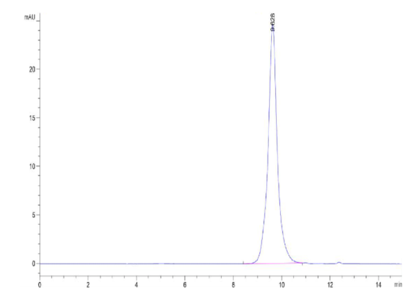 HPLC of Biotinylated Cynomolgus CD3E/CD3 epsilon Protein (Primary Amine 2569