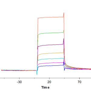 SPR with Mouse CD117 Protein 2572