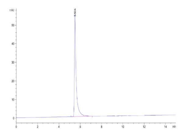 HPLC of Cynomolgus Integrin alpha V beta 3 (ITGAV&ITGB3) Heterodimer Pr 2576