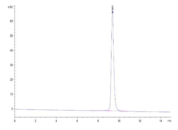 HPLC of Biotinylated Human HLA-C*03:04&B2M&KRAS G12D (GADGVGKSAL) Monom 2594