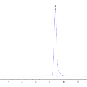 HPLC of Mouse Alkaline Phosphatase (Germ type) /ALPG Protein 2598