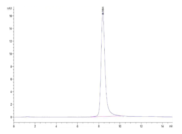 HPLC of Mouse FLT3 Ligand Protein 2614