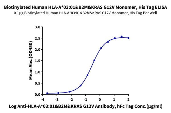 ELISA with Biotinylated Human HLA-A*03:01&B2M&KRAS G12V (VVVGAVGVGK) Mo 2617