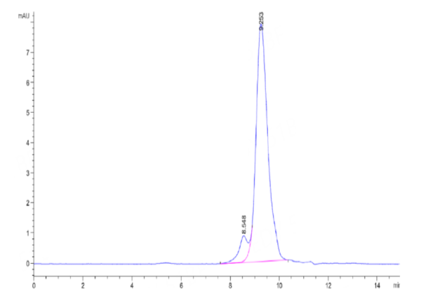 HPLC of Human VEGF121 Protein 2620