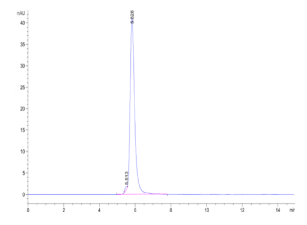 HPLC of Human Neogenin Protein 2621