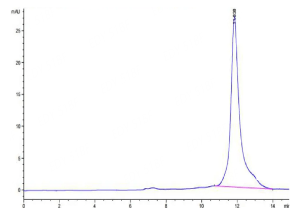 HPLC of Mouse PLAU/uPA Protein 2624