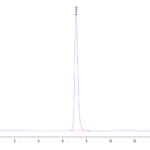 HPLC of Human HLA-A*02:01&B2M&PRAME (SLLQHLIGL) Tetramer Protein 2625