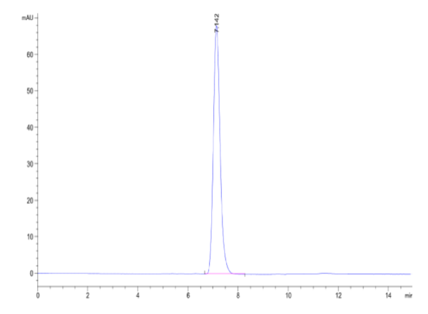 HPLC of Human HLA-A*02:01&B2M&PRAME (SLLQHLIGL) Tetramer Protein 2625