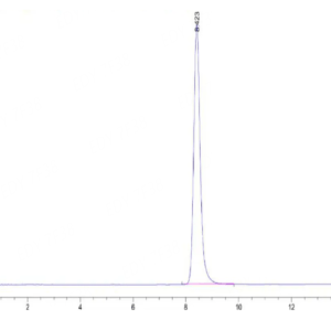 HPLC of Human HLA-A*02:01&B2M&PRAME (SLLQHLIGL) Monomer Protein 2626