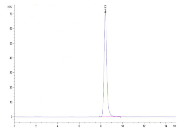 HPLC of Human HLA-A*02:01&B2M&PRAME (SLLQHLIGL) Monomer Protein 2626