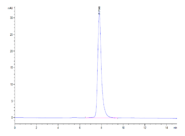 HPLC of Human FLT3/Flk-2 Protein 2630